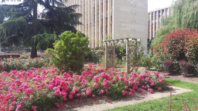 Vente appartement Meudon La Foret 92360