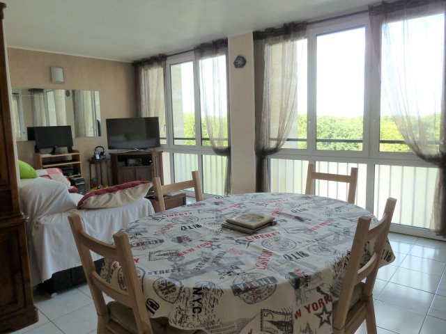 Vente appartement Meudon La Foret 92360