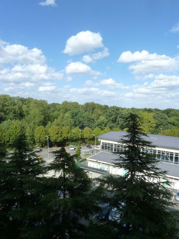 Vente appartement Meudon La Foret 92360