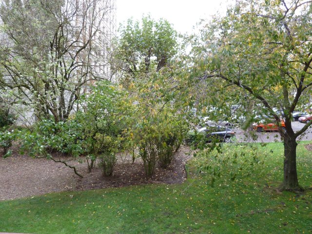 Vente appartement Meudon La Foret 92360
