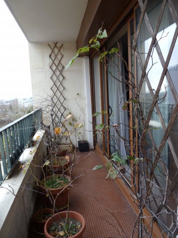 Vente appartement Meudon La Foret 92360