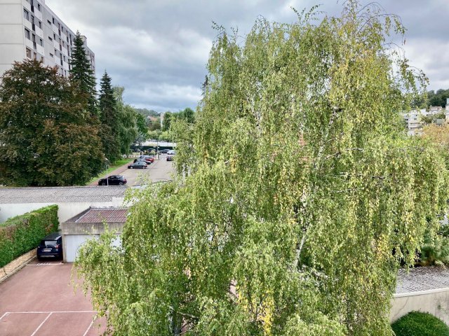 Vente appartement Plessis-robinson 92350